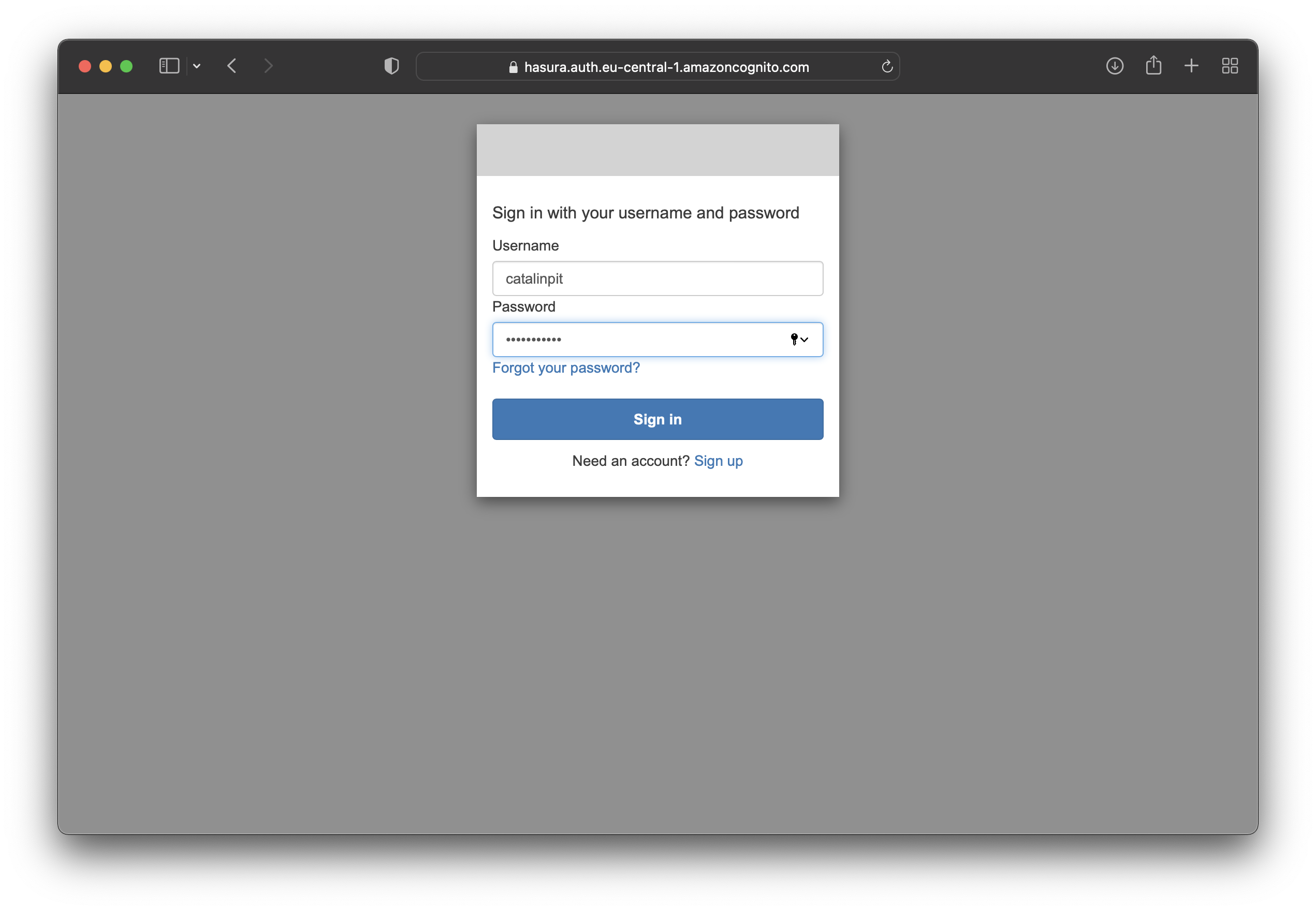 Cognito Hosted UI Login